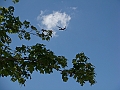 Western Michigan [2010] 386